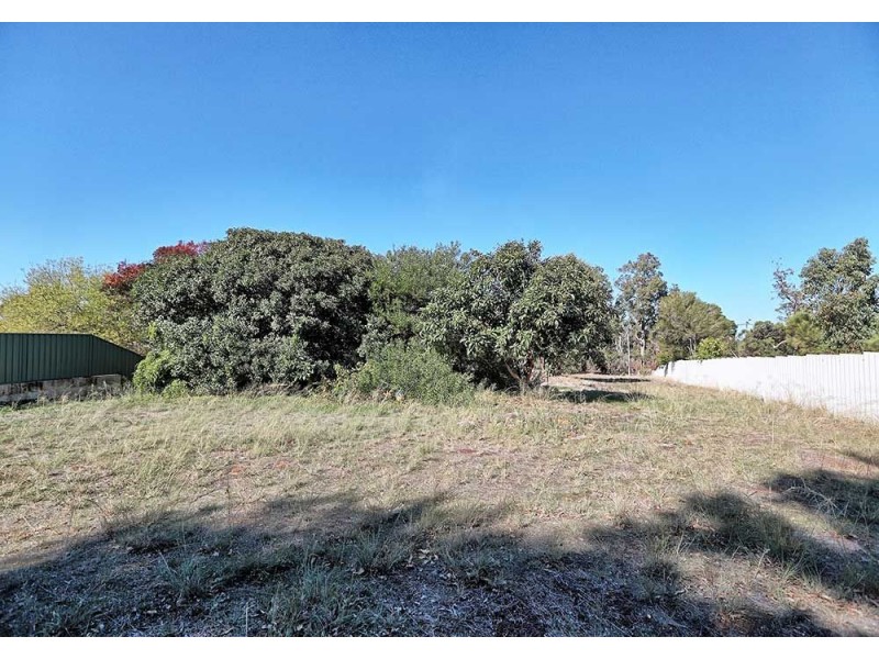 19 Hovea Crescent, Walliston WA 6076