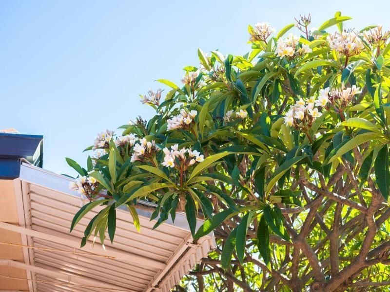 35 Gloucester Road, Kalamunda WA 6076