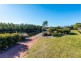 19 Fleet Circle, High Wycombe WA 6057