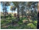 249 Grove Road, Lesmurdie WA 6076