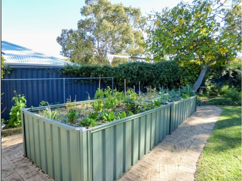 14 Andrew Street, Kalamunda WA 6076