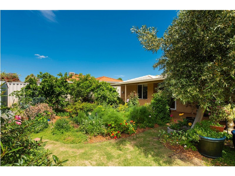 15 Coola Place, High Wycombe WA 6057