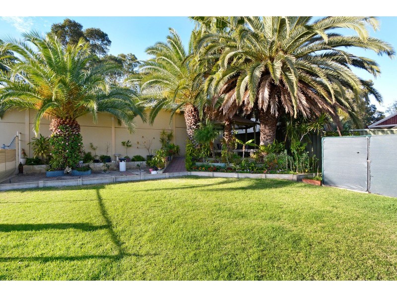 41 Kookaburra Crescent, High Wycombe WA 6057