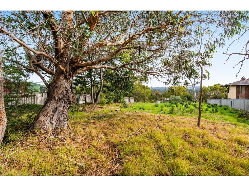 6 Nangana Way, Kalamunda WA 6076