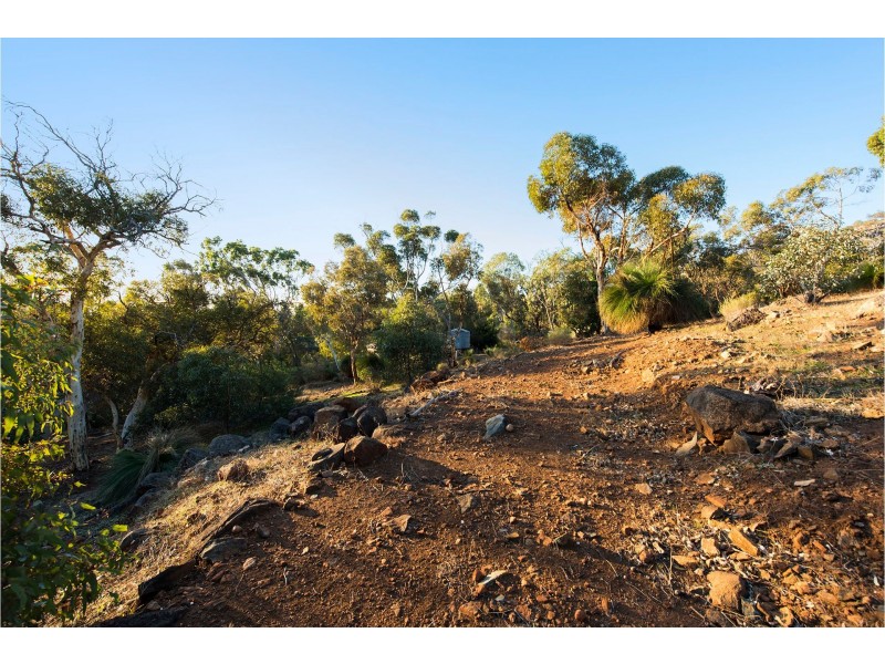 216 Lewis Road, Forrestfield WA 6058