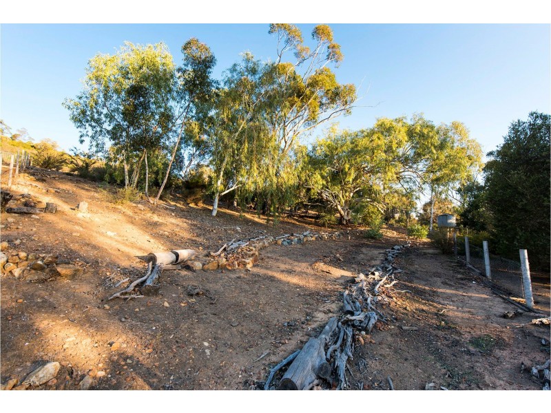 216 Lewis Road, Forrestfield WA 6058