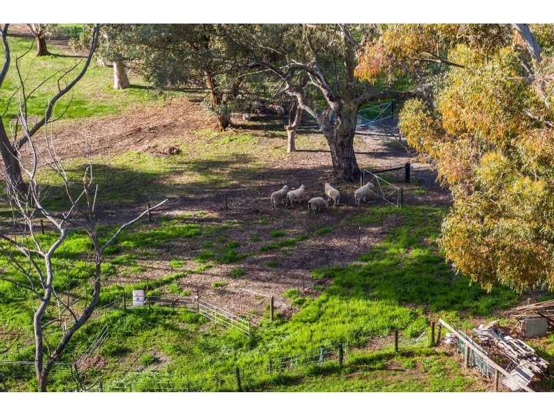 222 Utley Road, Serpentine WA 6125