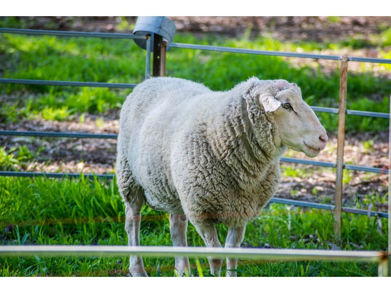 222 Utley Road, Serpentine WA 6125