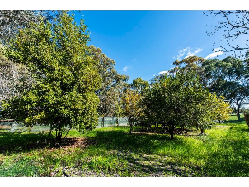 222 Utley Road, Serpentine WA 6125
