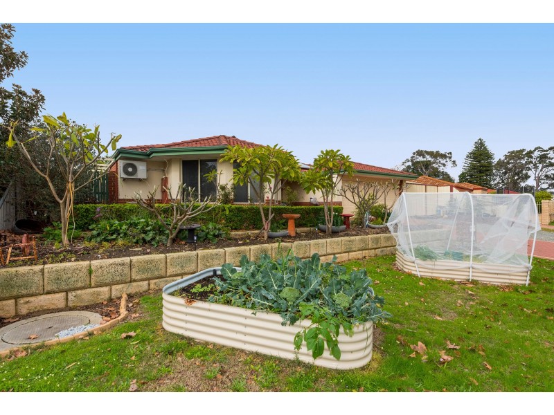 23 Peach Tree Way, Forrestfield WA 6058