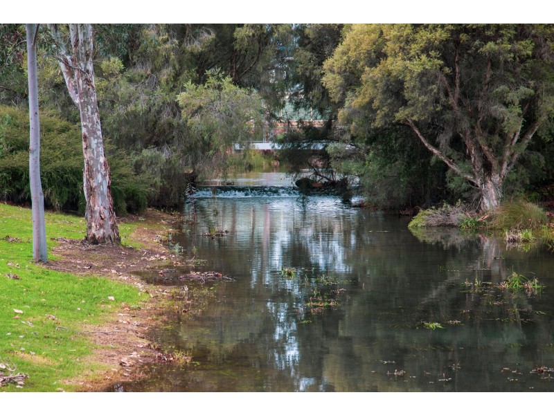 23 Peach Tree Way, Forrestfield WA 6058