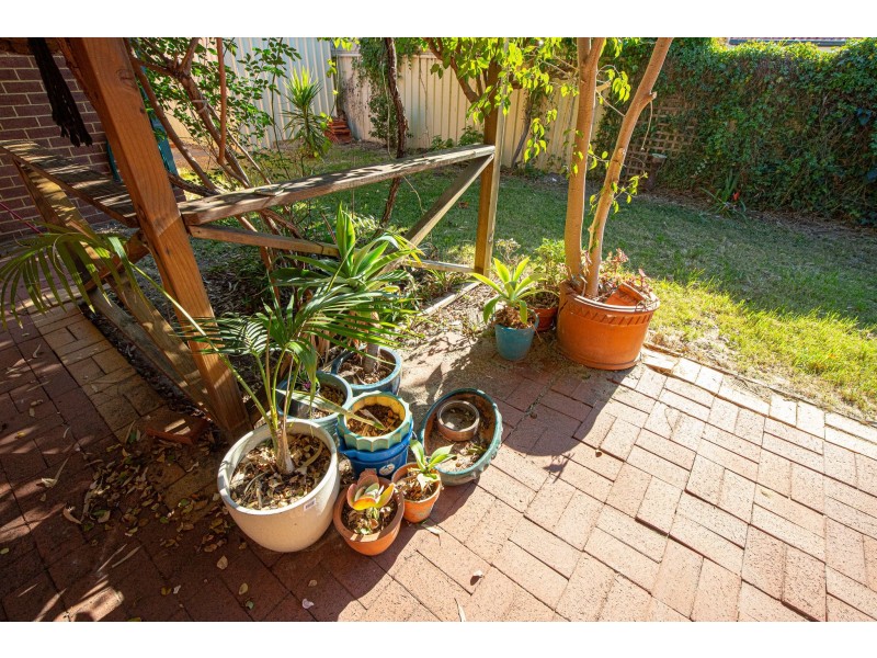 20 Lambertia Crescent, High Wycombe WA 6057