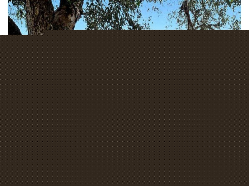 5 Warnt Court, South Guildford WA 6055