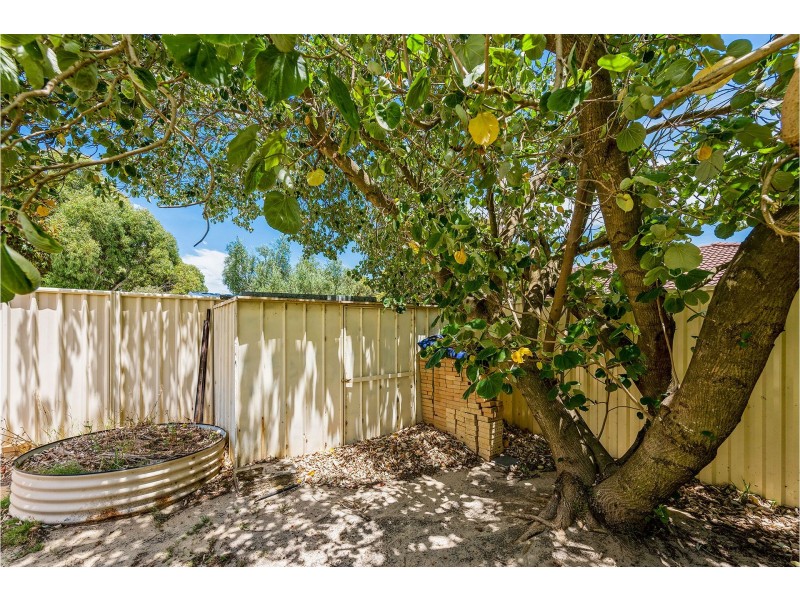 3 Bittern Close, Maida Vale WA 6057