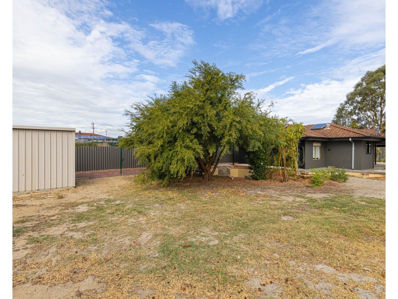 3 Kapok Court, High Wycombe WA 6057