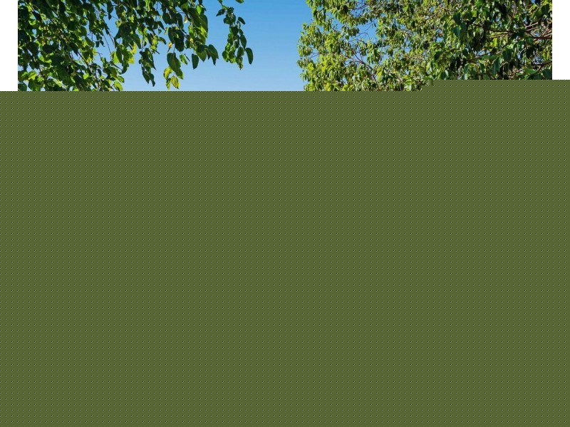 12 Coachwood Way, Maddington WA 6109