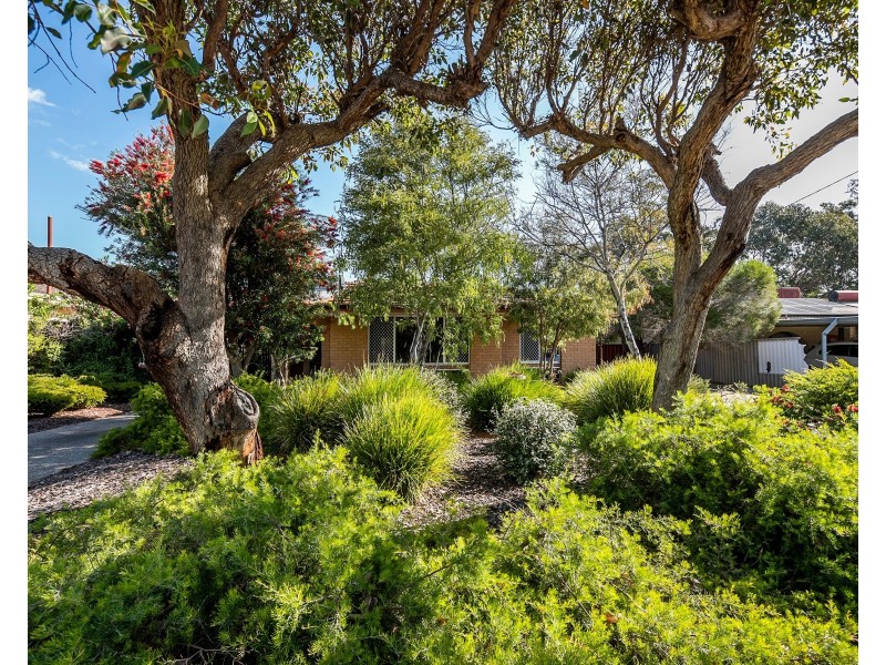 44 Stevens Road, High Wycombe WA 6057