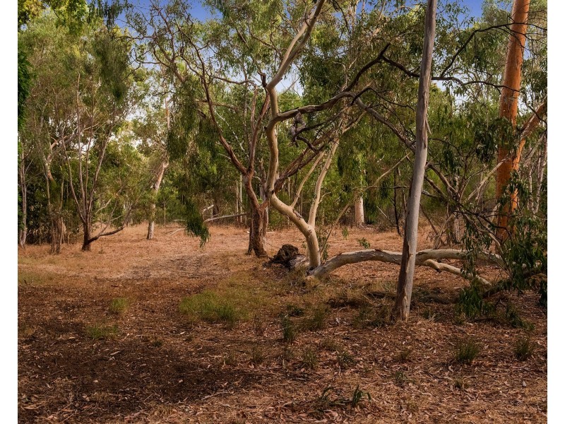 240 Iron Road, Parkerville WA 6081