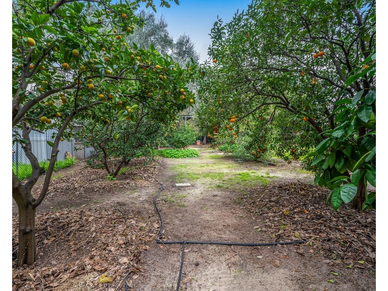 3 Irwin Place, Maida Vale WA 6057