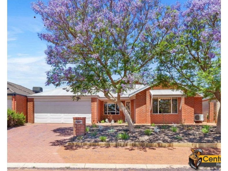 31 Fleet Circle, High Wycombe WA 6057