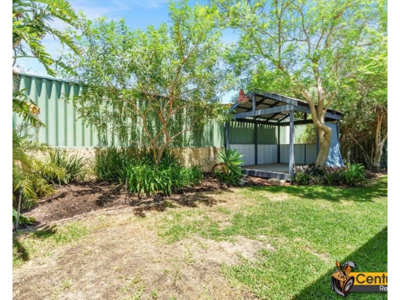 31 Fleet Circle, High Wycombe WA 6057