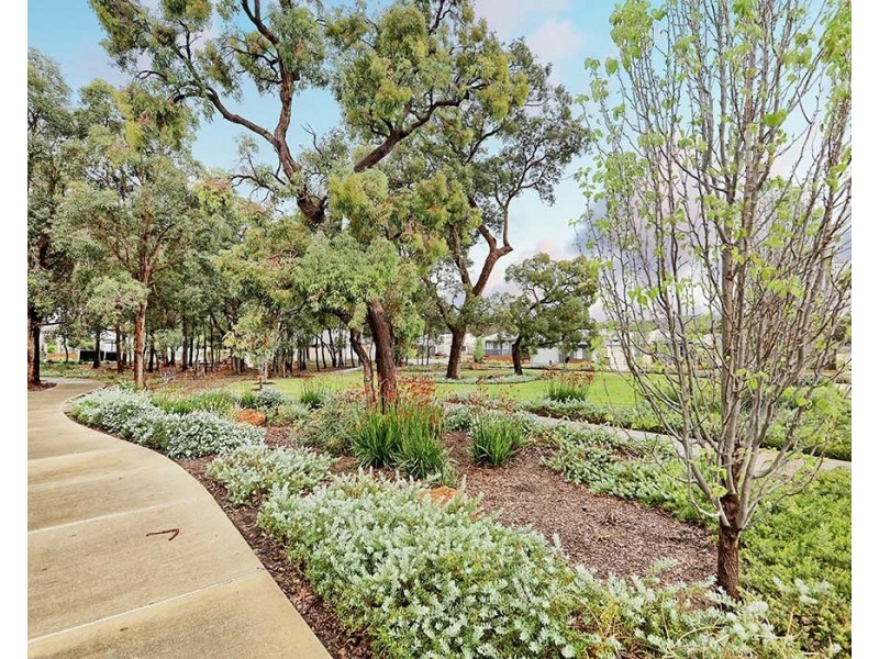 13 Ficus Lane, Forrestfield WA 6058