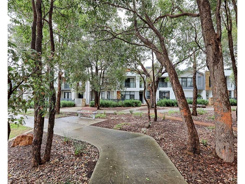 13 Ficus Lane, Forrestfield WA 6058