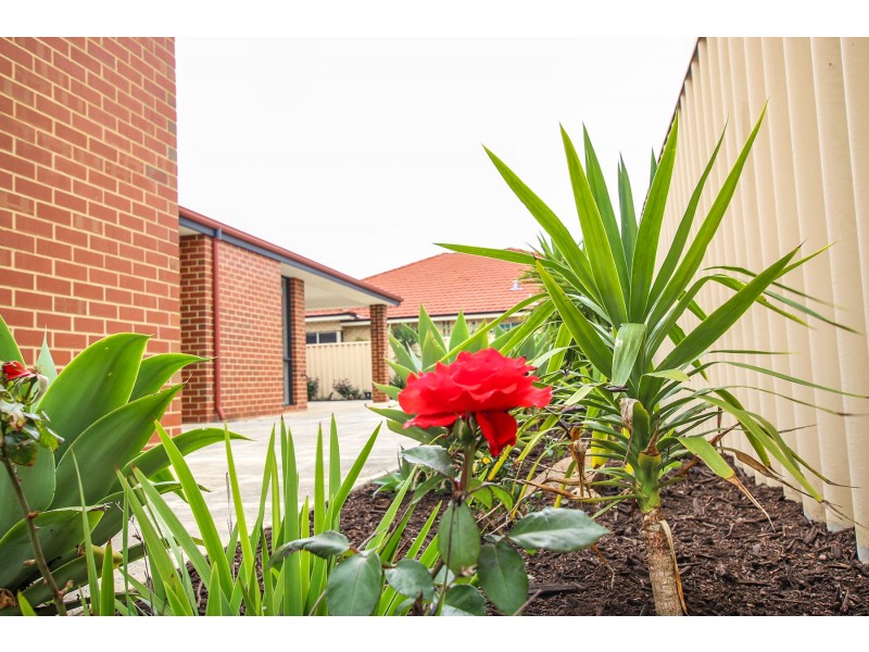 74 Harmony Avenue, Atwell WA 6164