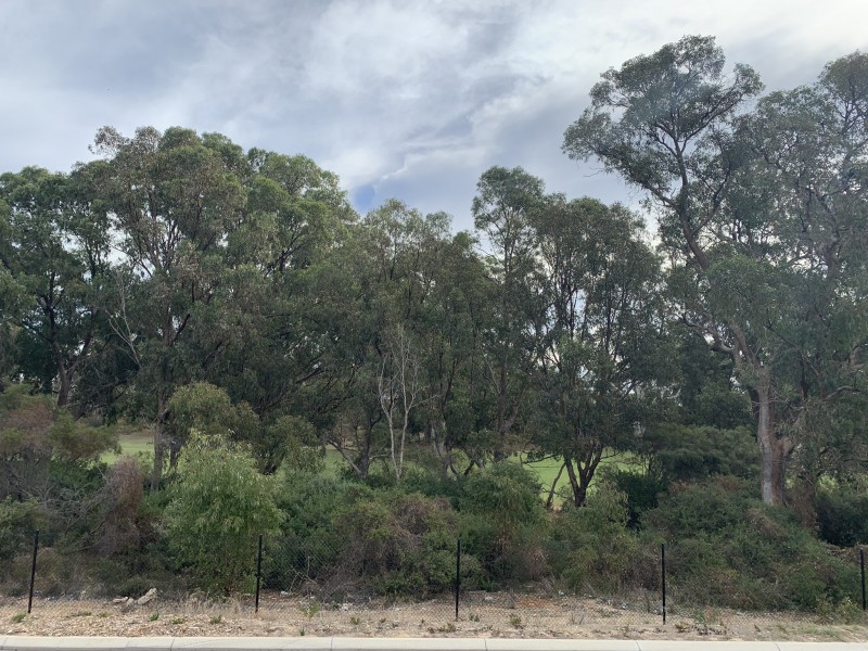 18 Brookdale Way, Meadow Springs WA 6210