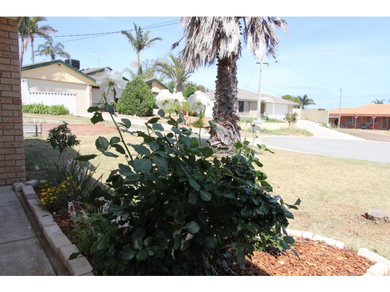 3A Limer Place, Parmelia WA 6167