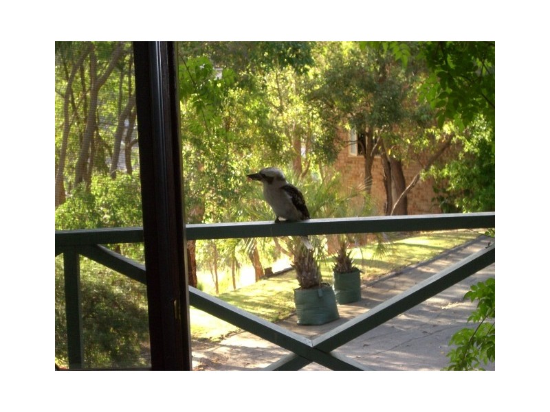 18 Calliandra Place, Roleystone WA 6111