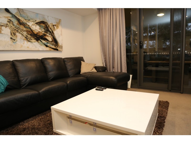 19/208 Adelaide Terrace, Perth WA 6000