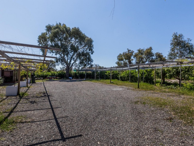 8 Banksia Court, Jandakot WA 6164