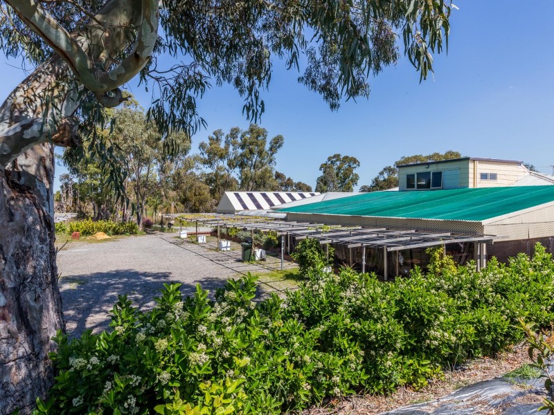 8 Banksia Court, Jandakot WA 6164