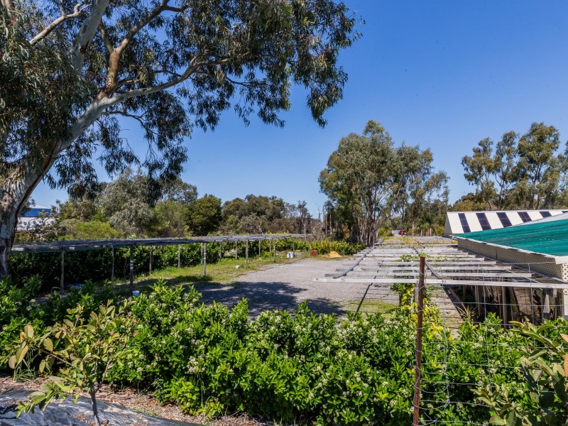 8 Banksia Court, Jandakot WA 6164