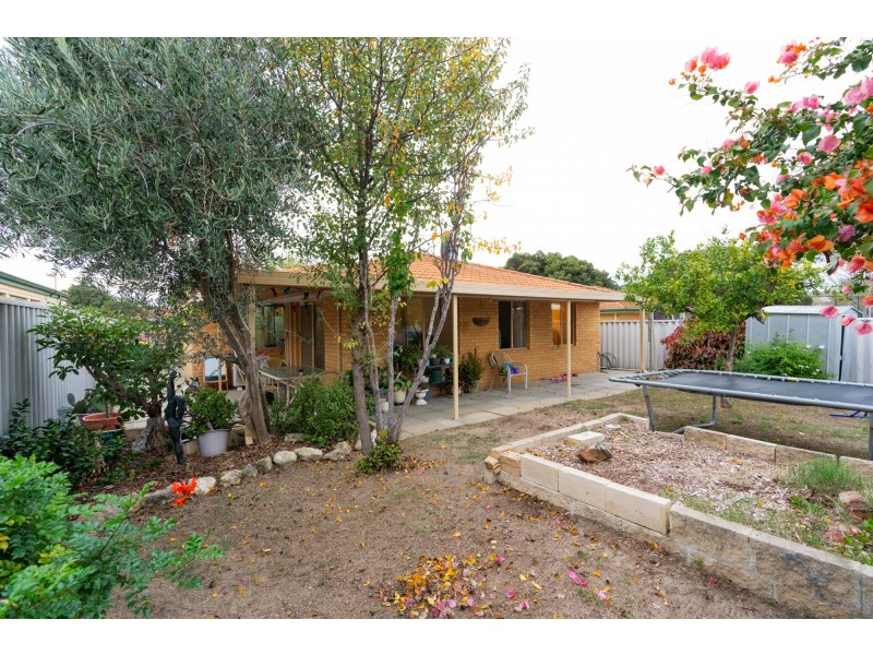 15 Luderick Grove, Warnbro WA 6169