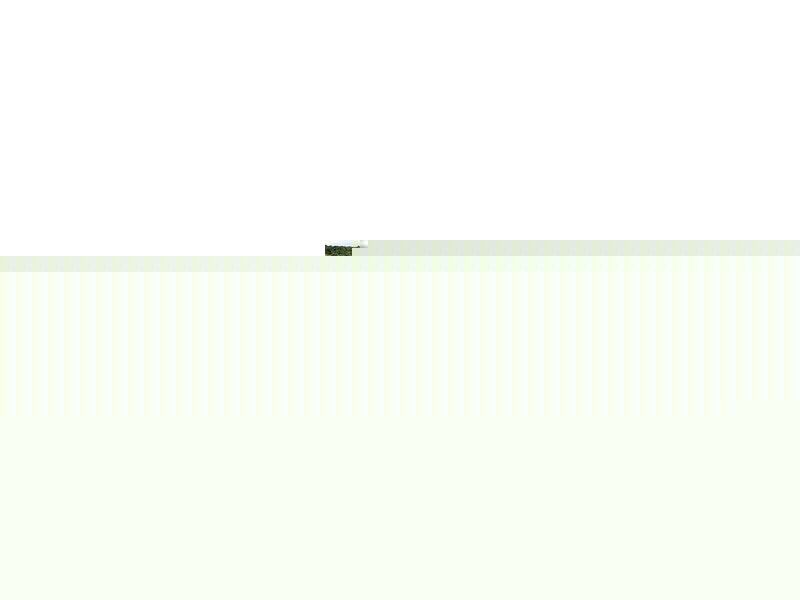 22 Palomino Parade, Baldivis WA 6171