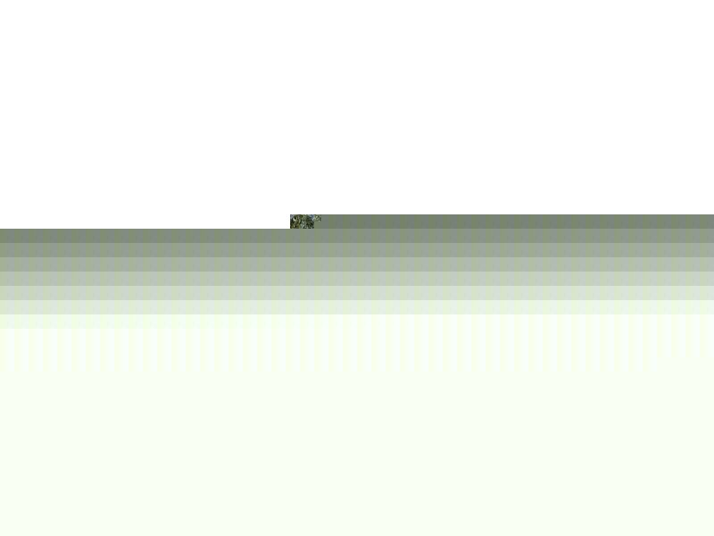 22 Palomino Parade, Baldivis WA 6171