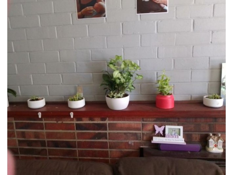 12 Wanliss Street, Jarrahdale WA 6124