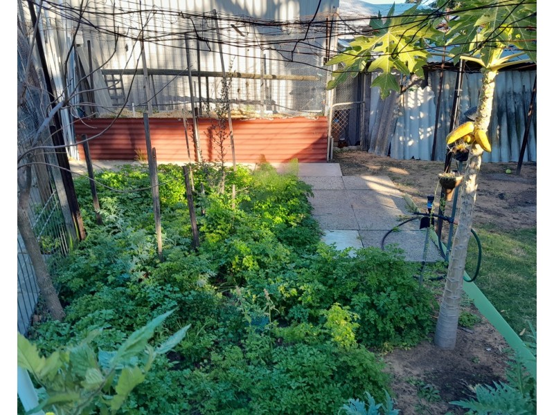 219 South Street, Beaconsfield WA 6162