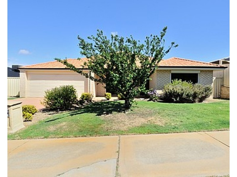 19 Cleland Crescent, Baldivis WA 6171