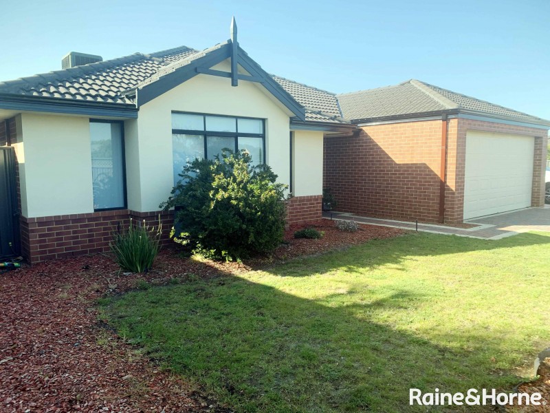 12 Echidna Court, Baldivis WA 6171