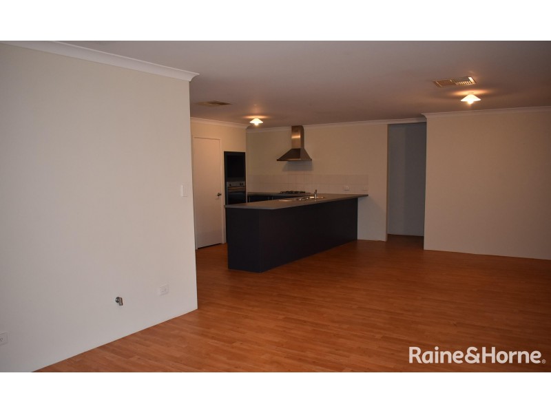 12 Echidna Court, Baldivis WA 6171