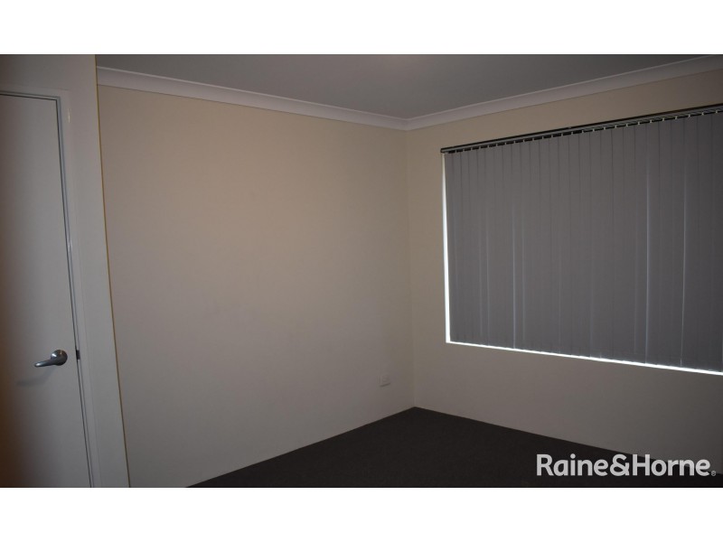 12 Echidna Court, Baldivis WA 6171