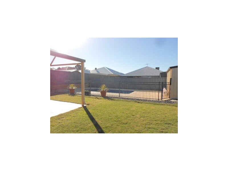 19 Aspera Elbow, Baldivis WA 6171