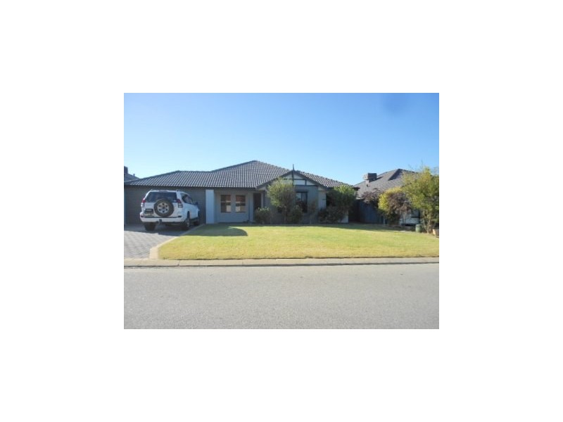 19 Aspera Elbow, Baldivis WA 6171