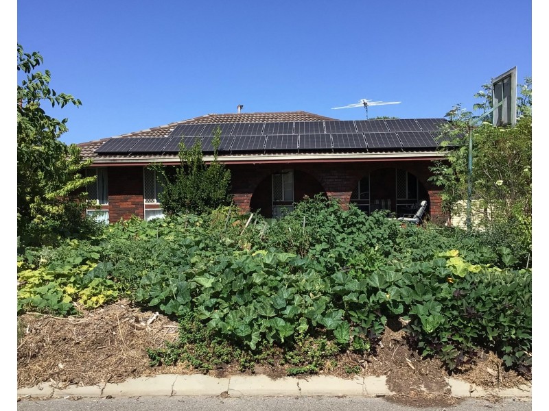 5 Nowranie Place, Hillman WA 6168