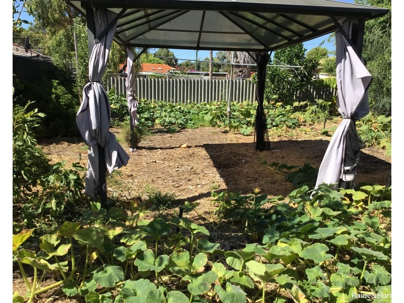 5 Nowranie Place, Hillman WA 6168