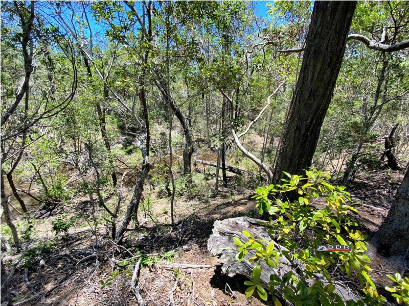 232 Pacific Haven Circuit, Pacific Haven QLD 4659