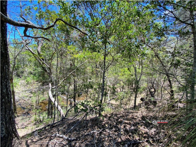 232 Pacific Haven Circuit, Pacific Haven QLD 4659